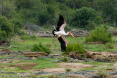 Nimmersatt (14 von 22).jpg